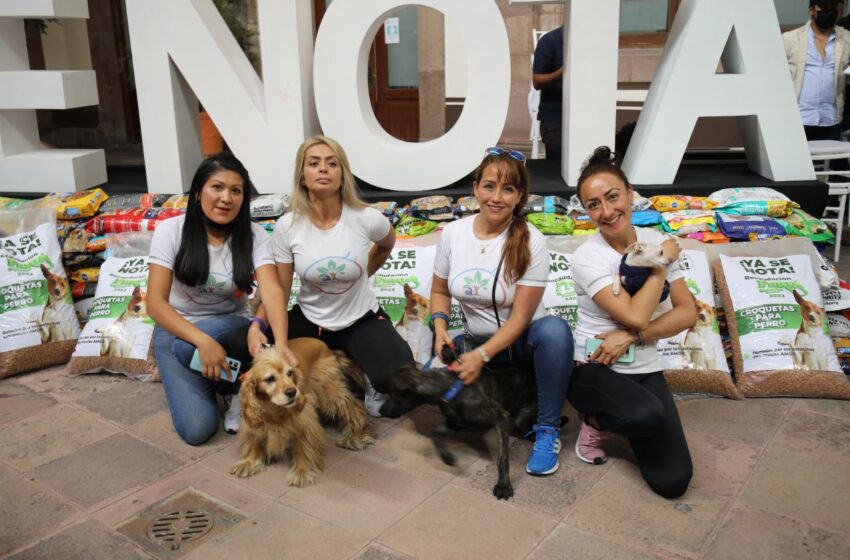 Dona Gobierno alimento para mascotas