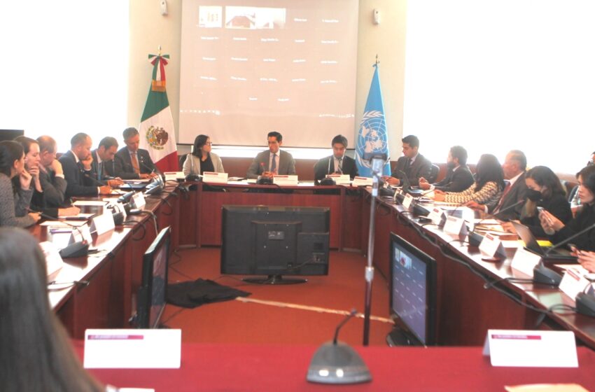 Analizan medidas de protección para personas migrantes y solicitantes de asilo en México