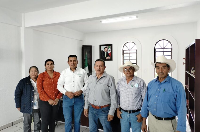 SEDARH refuerza trabajos contra plagas de cítricos en la Zona Media