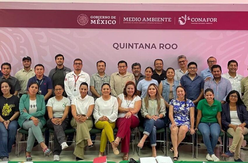 Buena respuesta del Foro de Desarrollo Forestal