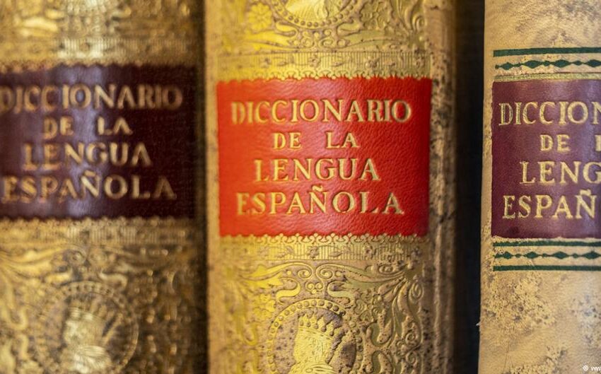  La RAE vuelve a admitir «sólo» con tilde