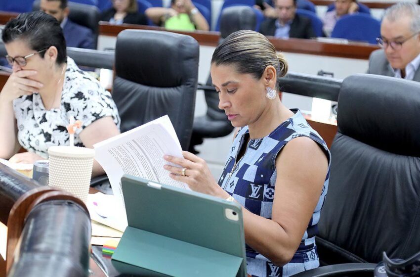 SLP debe atender emergencia de violencia contra las mujeres: Martínez Lárraga