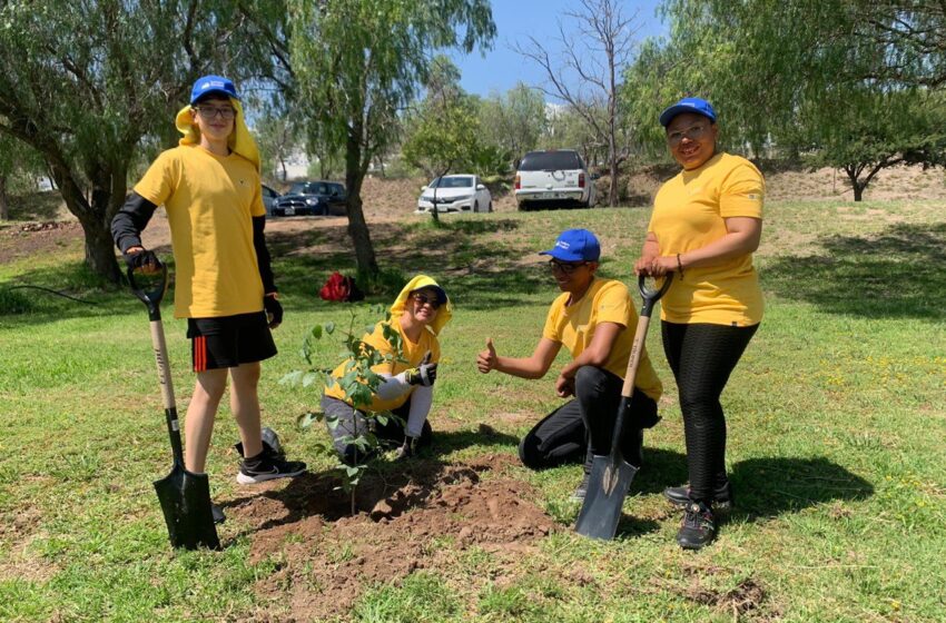  Gobierno del Estado reforesta parque Tangamanga I