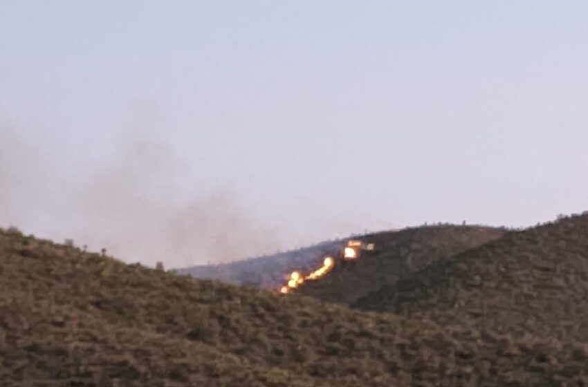 Protección Civil Estatal atiende incendio en el Cerro del Sabino