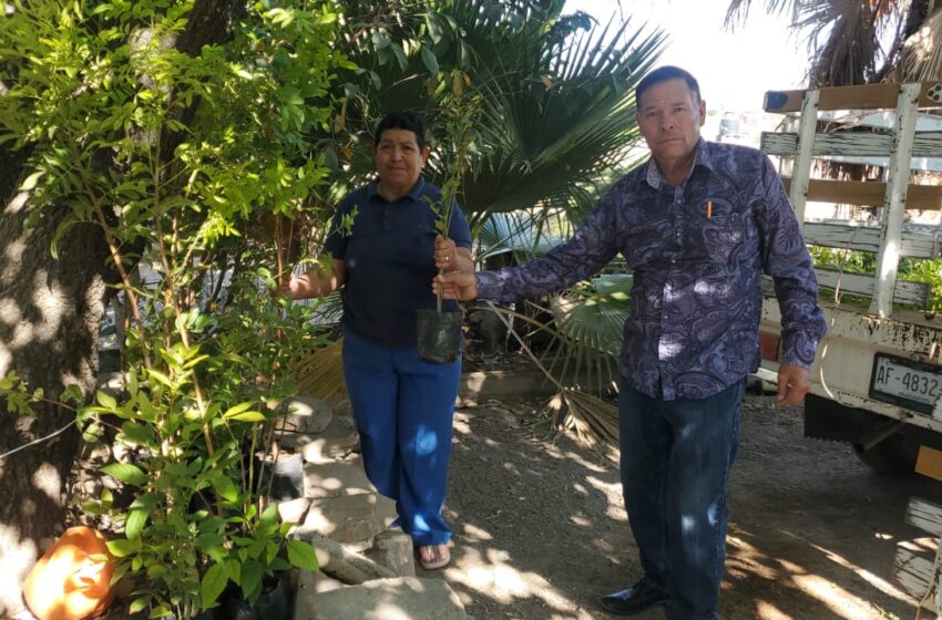  Finaliza jornada de arborización en la delegación municipal Salto de los Salado