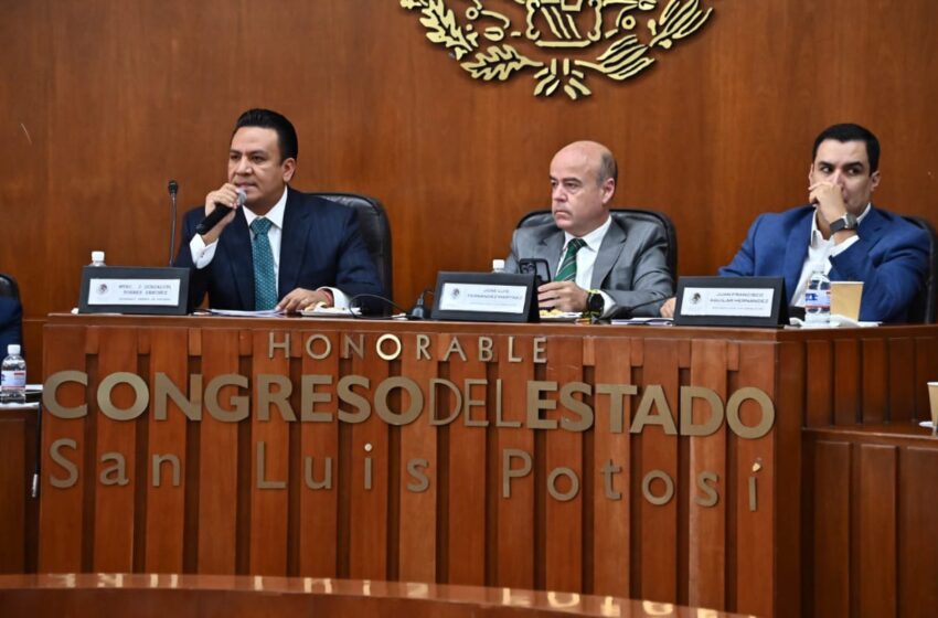 Con paz social y gobernabilidad San Luis Potosí ya despegó: SGG