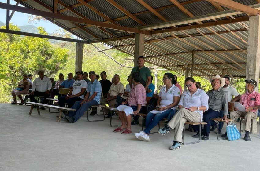  Gobierno previene la diabetes en comunidades indígenas