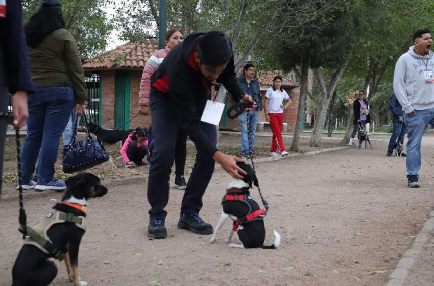  Gobierno de la Capital dio inicio al segundo Curso de Adiestramiento EduCAN