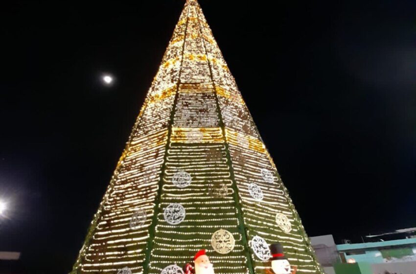  Gobierno invita al encendido de árbol navideño en FENAPO