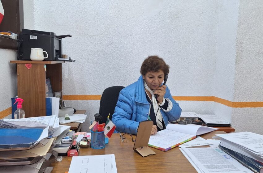  Trabajo de Gobierno activo en festividad guadalupana