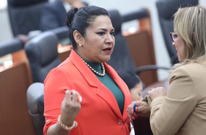 Positivo que quienes tengan sentencia por violencia y deudores alimentarios no puedan ser candidatos