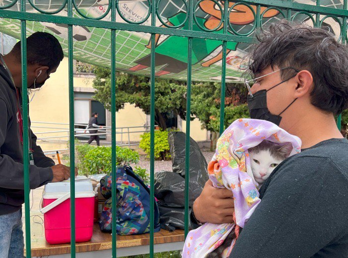 Arranca Campaña de Vacunación Antirrábica Gratuita para Mascotas en San Luis Potosí