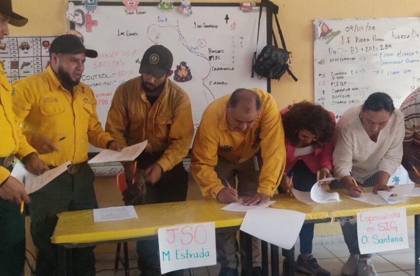 Control Efectivo del Incendio en Santa María del Río Gracias a la Colaboración Interinstitucional