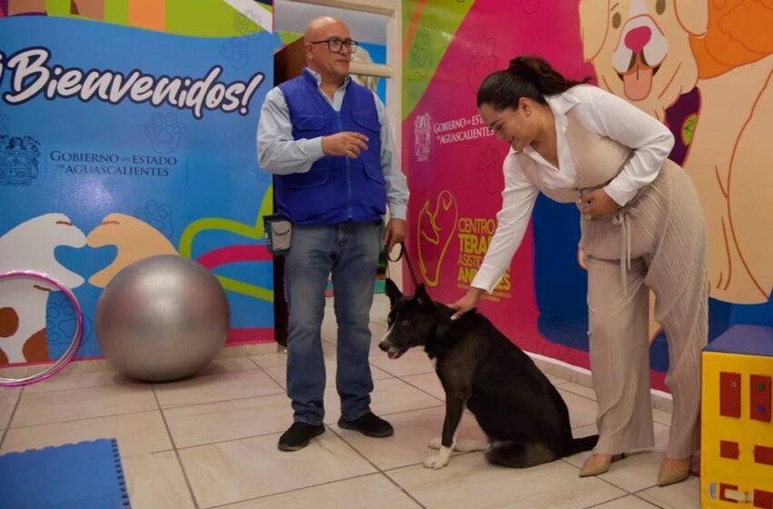Nuevo Centro de Terapia Asistida con Animales Inaugurado por el DIF Estatal