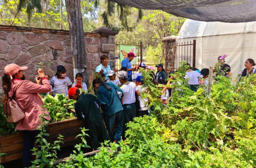  Esfuerzos Estatales para el Cuidado Ambiental en la Educación