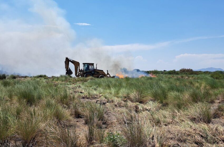  Gobierno Estatal mantiene combate a incendios forestales