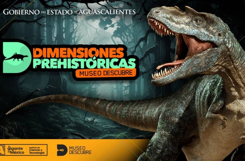 Aguascalientes Acoje la Majestuosa Exhibición Prehistórica en el Museo Descubre