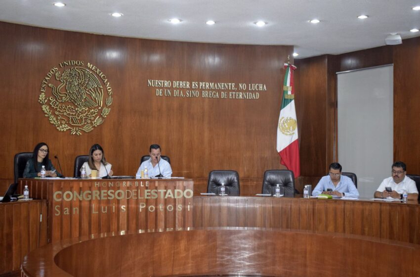  Reforma al Código Familiar en San Luis Potosí busca garantizar la convivencia de menores con familiares no custodios