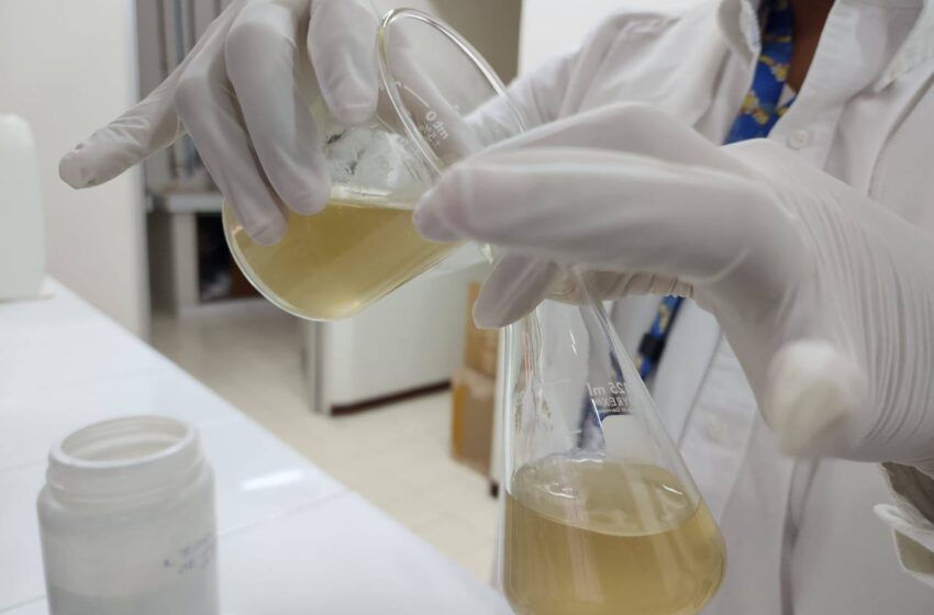 Interapas Vigila la Calidad del Agua Procedente de “El Realito” Ante Irregularidades en Turbidez