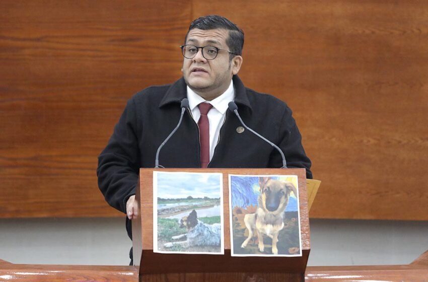 La Reforma Constitucional garantiza que el Estado proteja y cuide a los animales