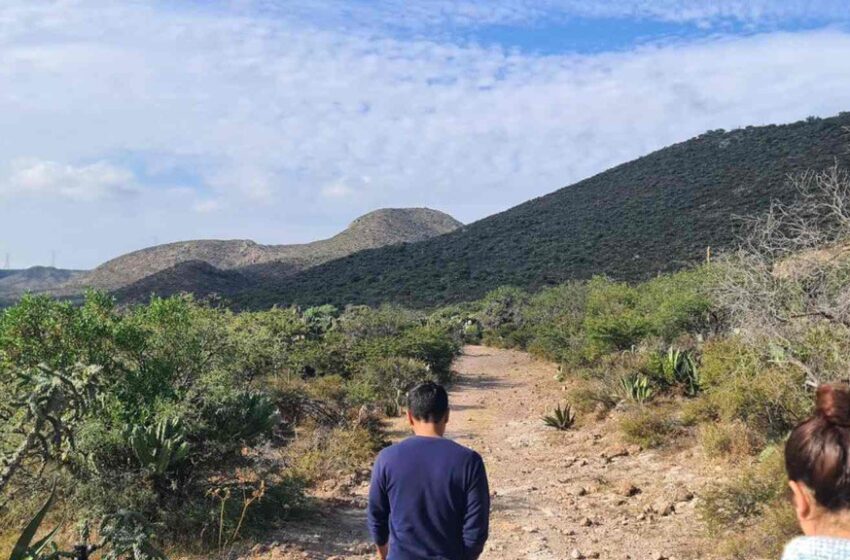 Gobierno Estatal Y Asociaciones Impulsan Reforestación En La Sierra De Álvarez