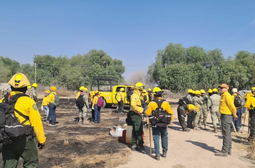 Gobierno Estatal Fortalece La Preparación De Brigadistas Forestales