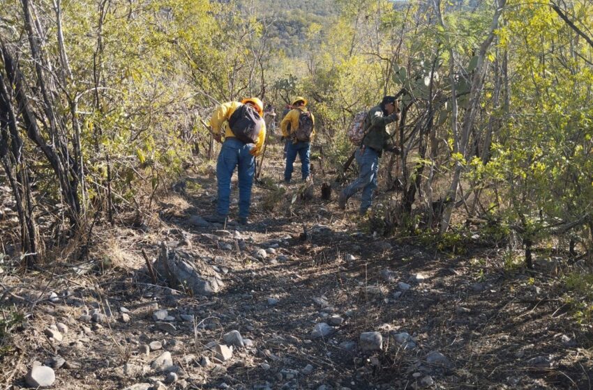 Autoridades De Los Tres Niveles Trabajan En Incendio En Cerritos