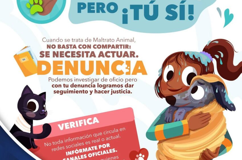 FGESLP Combate Cualquier Tipo De Acción Que Atenta Contra La Vida De Animales Domésticos
