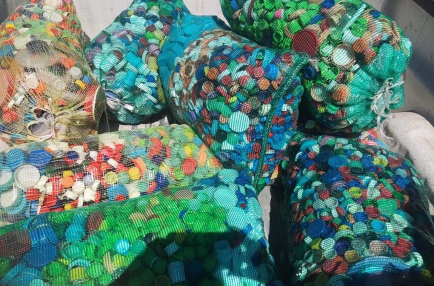 Ayuntamiento De Soledad Efectúa Nueva Entrega De Tapitas Plásticas En Favor De Infantes Con Cáncer