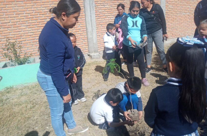 Municipio De Soledad Acerca Actividades De Concientización Ambiental A Estudiantes De Nivel Básico