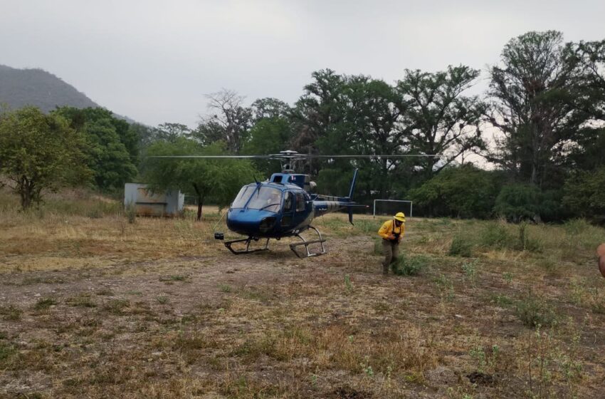 Comité Del Manejo Del Fuego Mantiene Combate De Incendios
