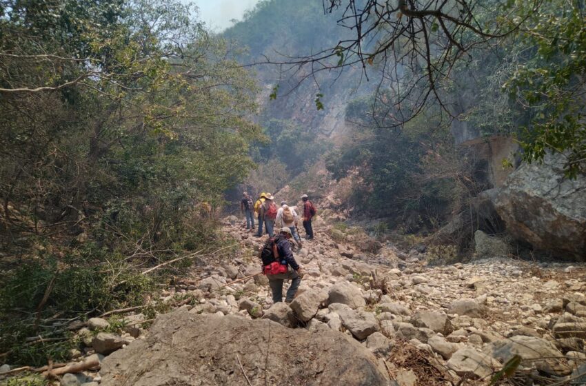 Comité Del Manejo Del Fuego Mantiene Combate De Incendios