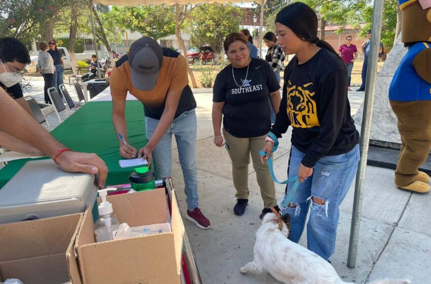 Inicia Campaña De Vacunación Antirrábica
