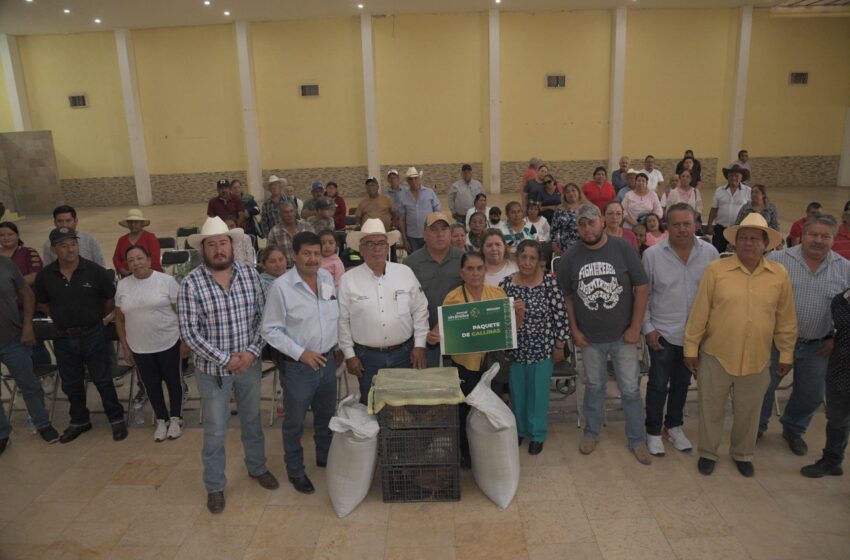  Decenas De Familias Productoras En Soledad Reciben Paquetes De Gallinas Y Alimento