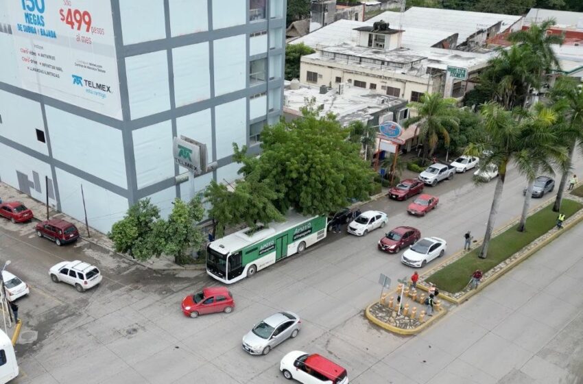 Movilidad Sin Límites Con Transporte Gratuito Y Nuevas Rutas De Metrored