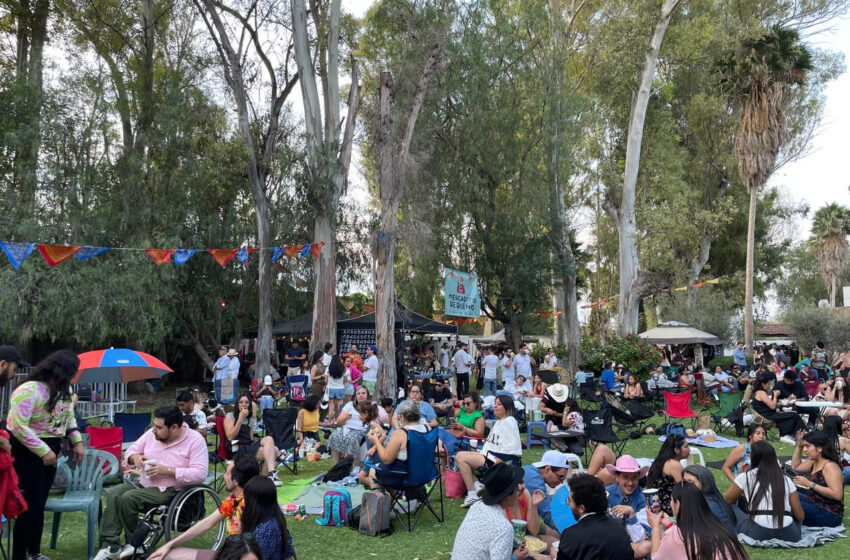 Con Apoyo Del Estado, Picnic 7b Fue Todo Un Éxito