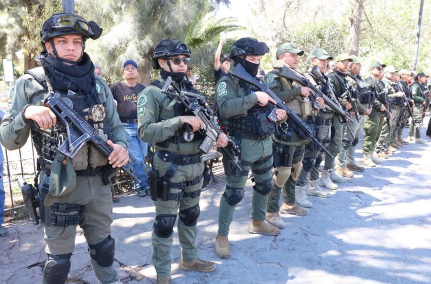 Guardia Civil Estatal Lidera Detenciones En Su Lucha Diaria Contra Hechos Ilícitos
