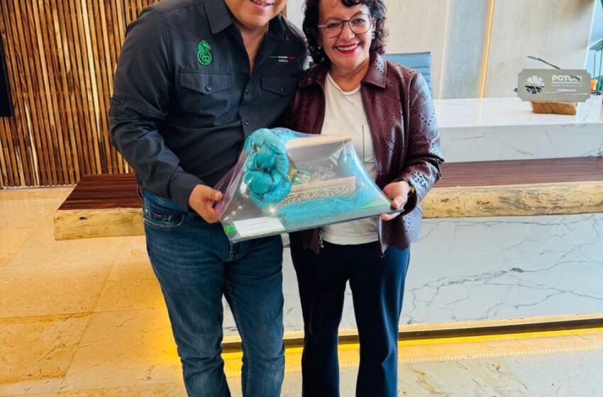Universidad Rosario Castellanos Llegará A Slp En Agosto