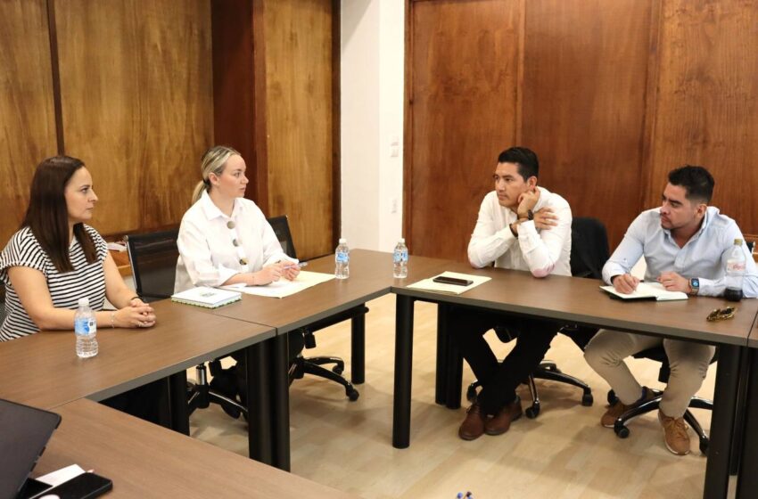 Ejecutivo Y Legislativo Trabajan En Ley De Protección Animal