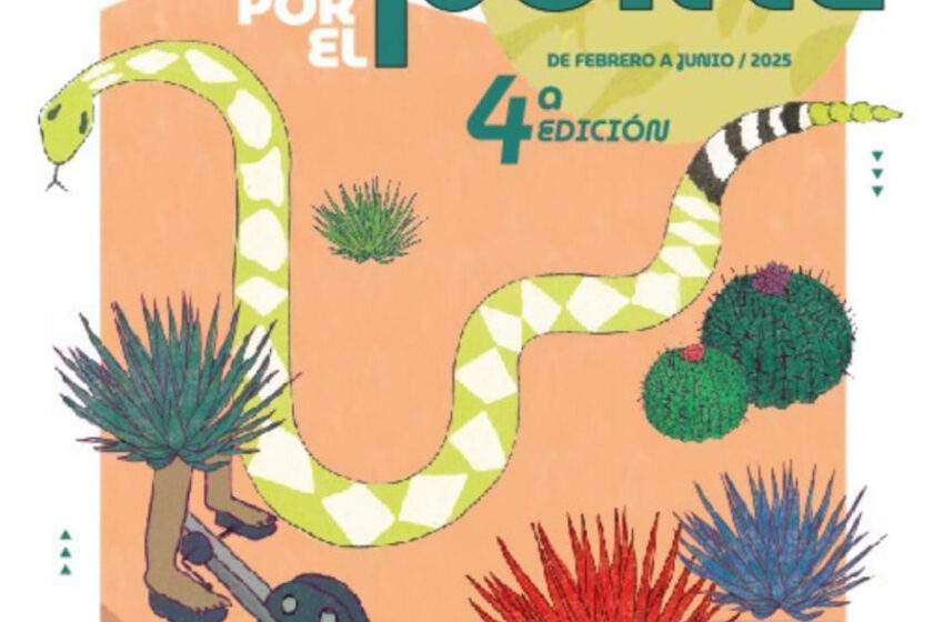  Tangamanga 2 Tendrá Función De Cine Gratuita Y Ecológica