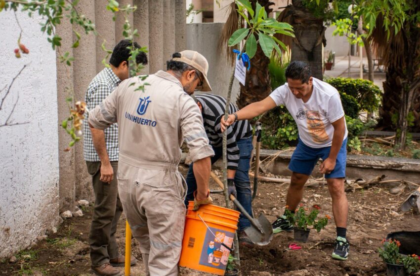 UASLP impulsa reforestación y adopción de árboles en su campus poniente