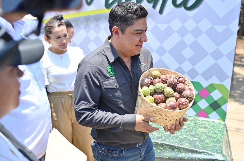 Estado Lanzará Catálogo De Flora Y Fauna En Peligro De Extinción
