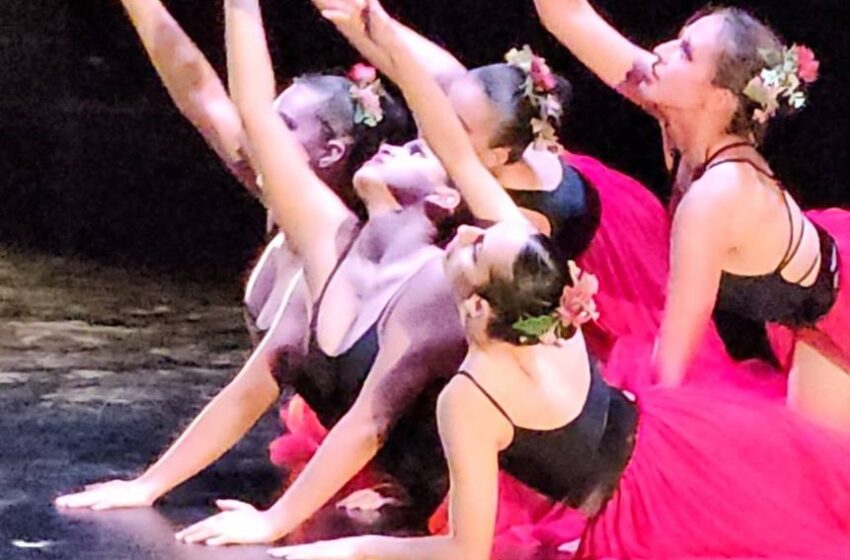 Escuela De Iniciación Artística Del Ceart Gradúa A Una Nueva Generación