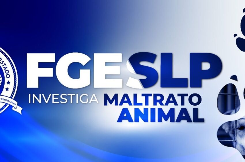 FISCALÍA DE SLP APERTURA INVESTIGACIÓN POR CASO DE MALTRATO ANIMAL EN CIUDAD VALLES
