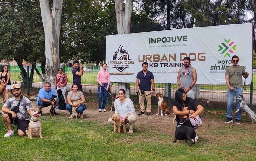 Aplauden animalistas construcción del refugio “Huellitas” en San Luis Potosí