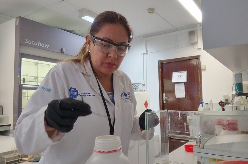 Docente Potosina Representa Al Estado En Estancia De Investigación Internacional