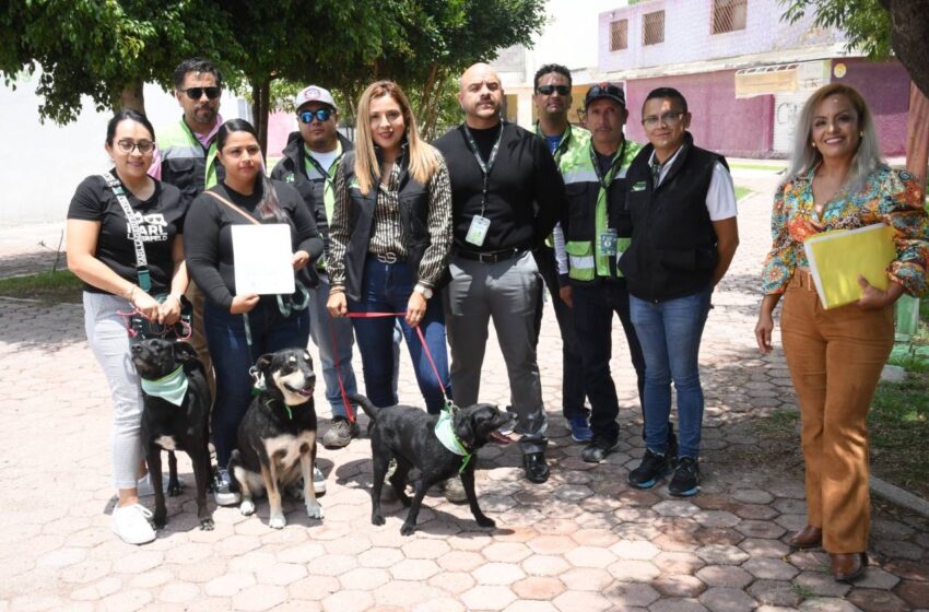 Ayuntamiento De Soledad Promueve Programa De Adopción Animal Comunitaria