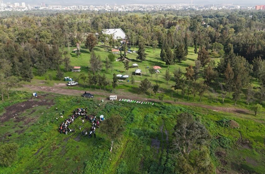 Supervisa Gobierno Estatal restauración ecológica en el parque Tangamanga I