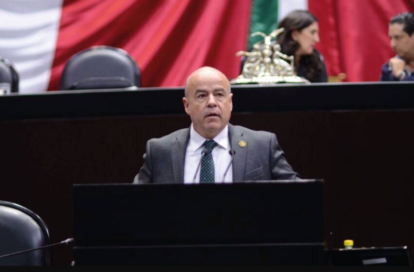 DIPUTADO FEDERAL REAFIRMA PODERÍO POLÍTICO DEL PARTIDO VERDE EN SLP