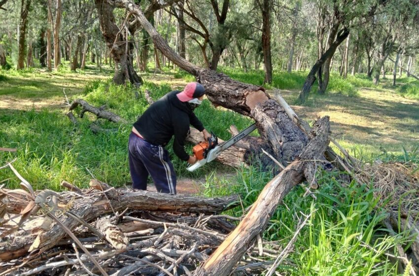  Reblandecimiento del suelo obliga a medidas preventivas en el parque Tangamanga I
